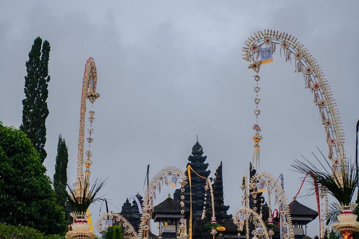 Besakih Temple, Tegalalang Rice Terraces & Goa Raja Waterfall: Full-Day Cultural and Nature Tour from Ubud photo 3