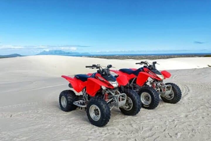 Cape Town Action Day: Quadbike Dunes, Two Oceans Aquarium & Sunset Champagne Cruise photo 2