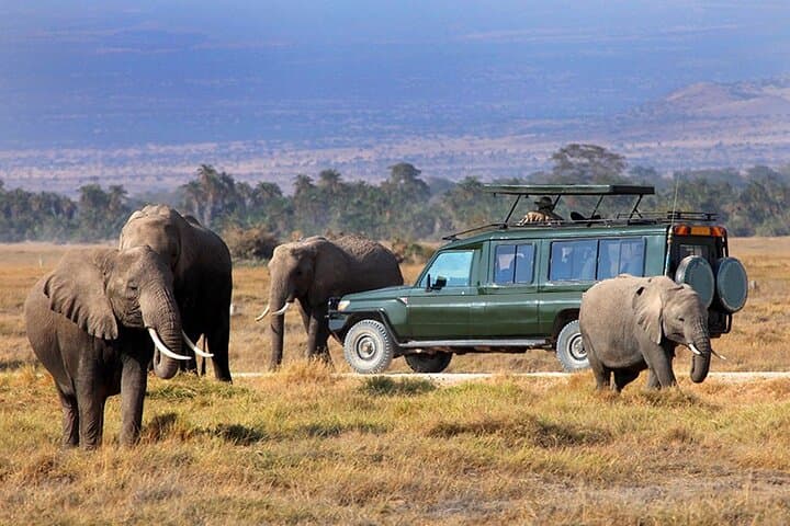 4-Day Masai Mara & Lake Naivasha 4x4 Safari: Game Drives, Boat Trips & Local Culture photo 3