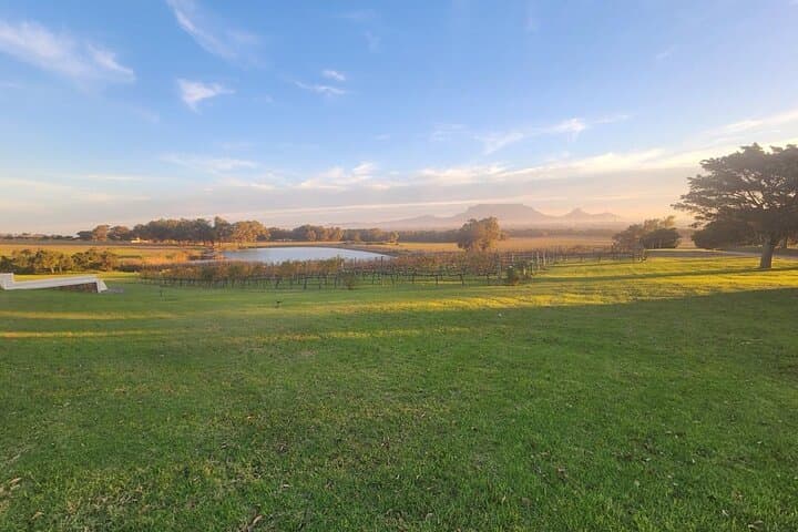 Quad Biking and Wine Tasting from Atlantis Dunes to De Grendel (Cape Town) photo 6