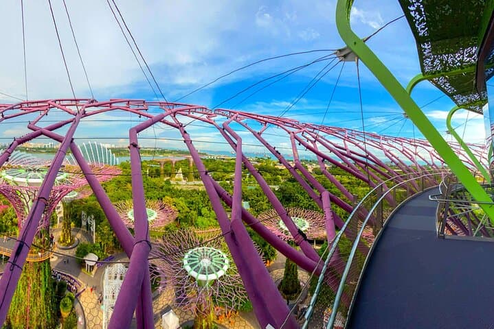 Gardens by the Bay Guide: Supertree Observatory, Flower Dome & Cloud Forest