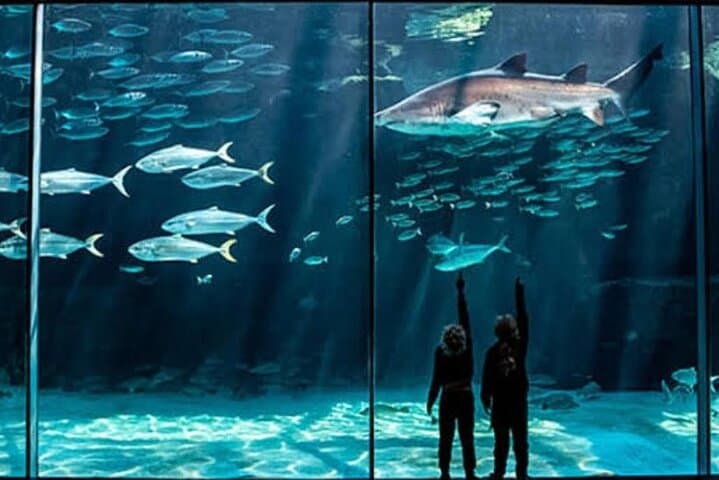 Cape Town Action Day: Quadbike Dunes, Two Oceans Aquarium & Sunset Champagne Cruise photo 4