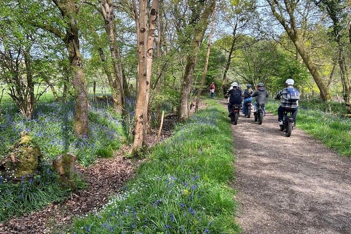 Retro E‑Bike Hire: Explore New Forest Coastal Trails from Keyhaven photo 3