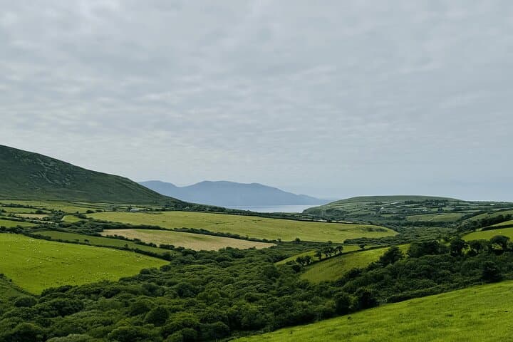 Private Dingle & Slea Head Luxury Tour — Full-Day Slea Head Drive from Killarney