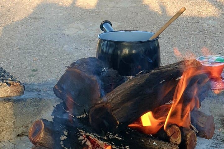 7 Days Around the Campfire: Etosha & Sossusvlei Camping Safari from Windhoek