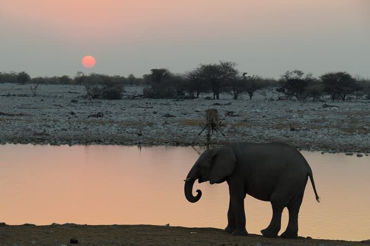 7 Days Around the Campfire: Etosha & Sossusvlei Camping Safari from Windhoek photo 2