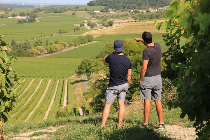 4x4 Vineyard Tour in Cognac: Off-Road Discovery and Cocktail Tasting photo 5