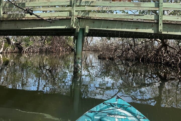 E.G. Simmons Park Mangrove Tunnel Kayak Tour — 3-Hour Guided Paddle in Ruskin