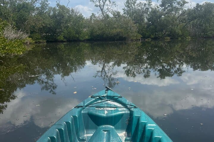 E.G. Simmons Park Mangrove Tunnel Kayak Tour — 3-Hour Guided Paddle in Ruskin photo 5