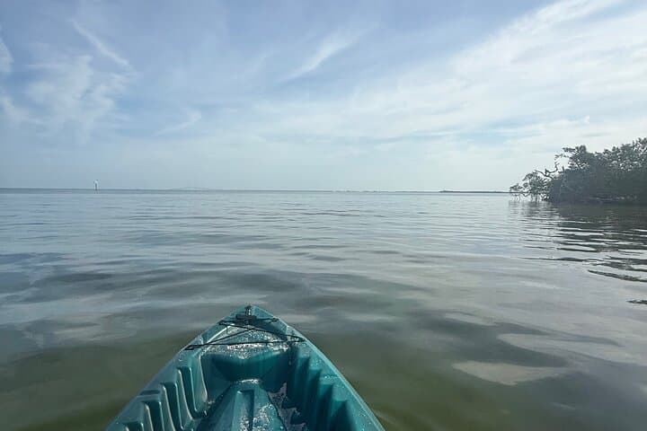 E.G. Simmons Park Mangrove Tunnel Kayak Tour — 3-Hour Guided Paddle in Ruskin photo 6