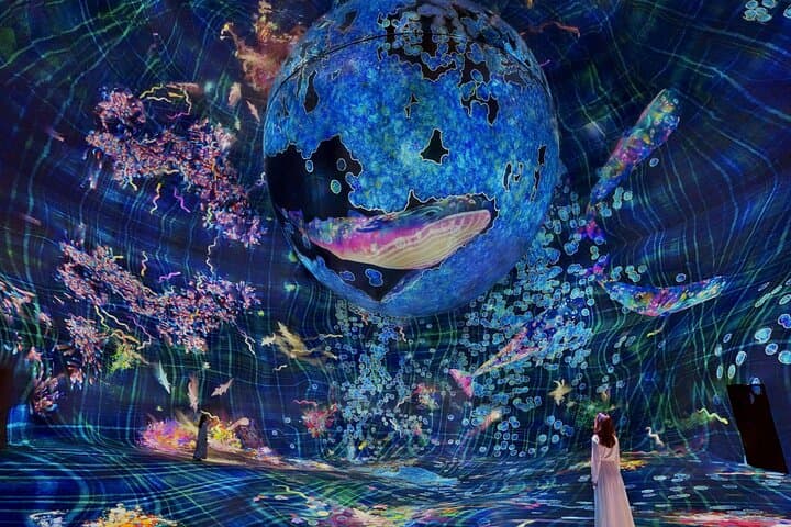 teamLab Phenomena Abu Dhabi: Immersive Multi‑Sensory Art Experience photo 3
