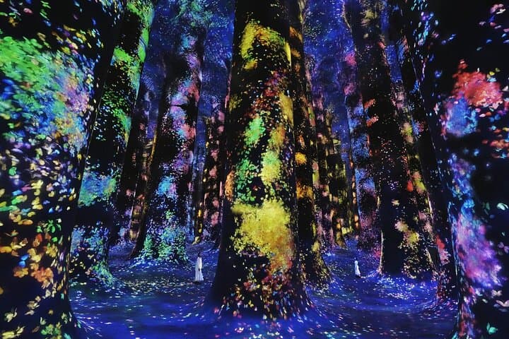teamLab Phenomena Abu Dhabi: Immersive Multi‑Sensory Art Experience photo 4