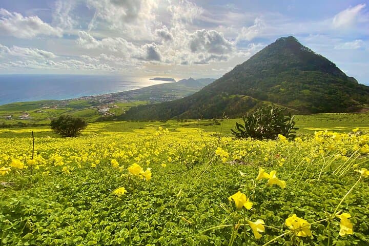 Porto Santo Pico Castelo & Pico do Facho Hiking Tour — Coastal Terraces and Erosion-Scar Views