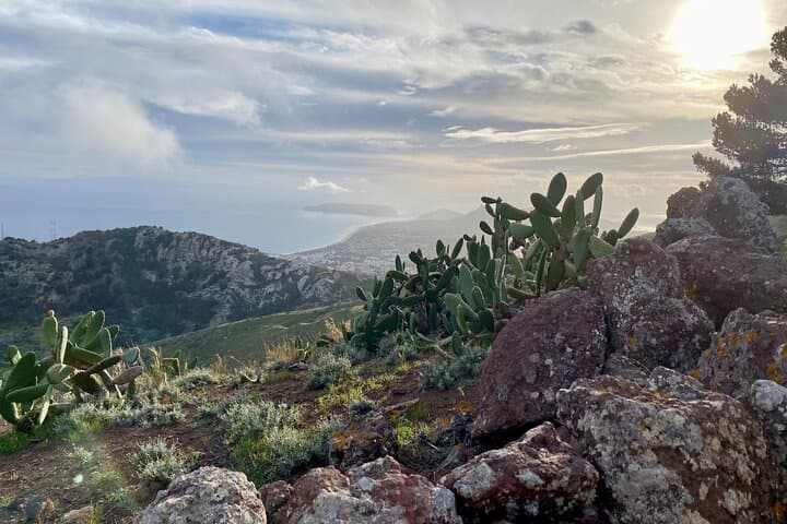 Porto Santo Pico Castelo & Pico do Facho Hiking Tour — Coastal Terraces and Erosion-Scar Views photo 3