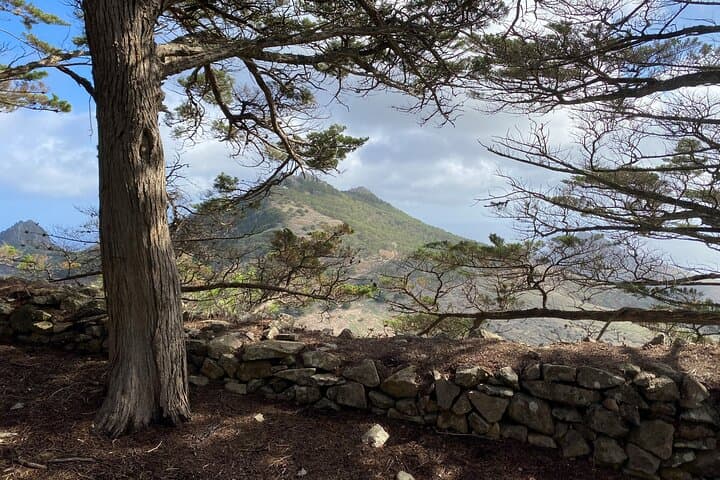 Porto Santo Pico Castelo & Pico do Facho Hiking Tour — Coastal Terraces and Erosion-Scar Views photo 5