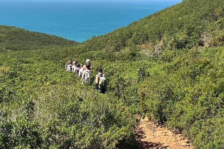 Mindful Nature Journeys near Lisbon: Yoga, Forest Bathing & Coastal Hikes photo 2