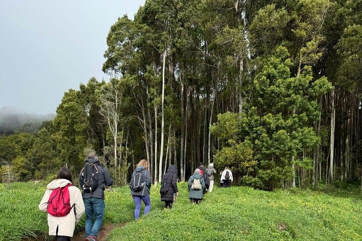 Mindful Nature Journeys near Lisbon: Yoga, Forest Bathing & Coastal Hikes photo 3