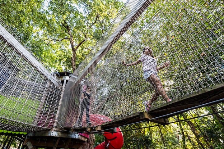 Miami’s Jungle Island: Eco-Adventure Park and Wildlife Encounters on Watson Island photo 3