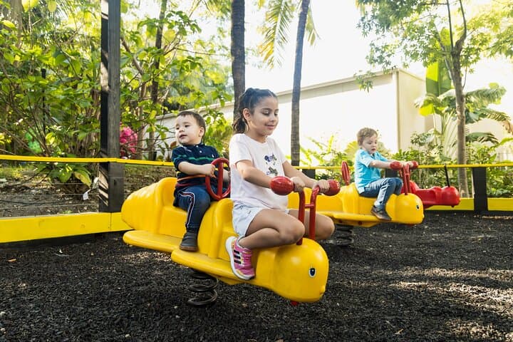 Miami’s Jungle Island: Eco-Adventure Park and Wildlife Encounters on Watson Island photo 4