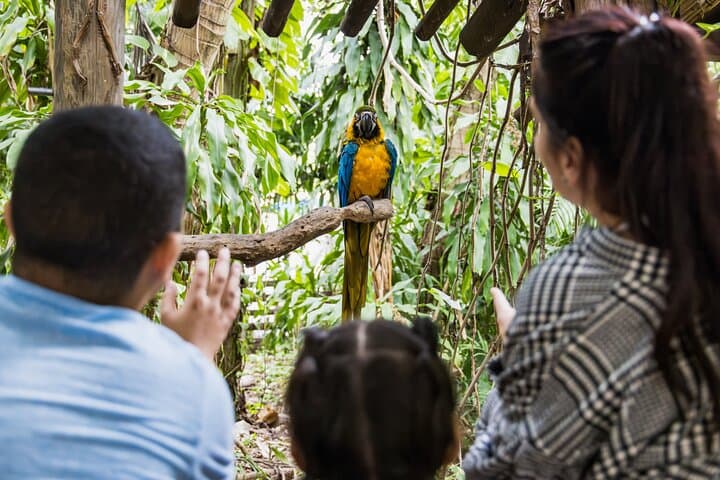 Miami’s Jungle Island: Eco-Adventure Park and Wildlife Encounters on Watson Island photo 2