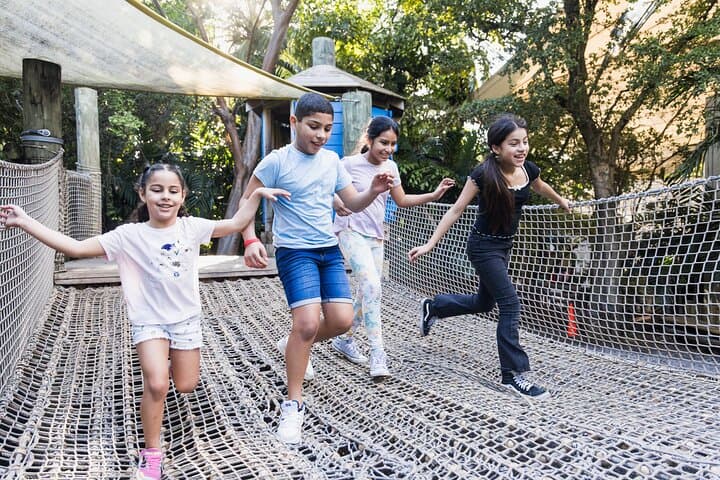 Miami’s Jungle Island: Eco-Adventure Park and Wildlife Encounters on Watson Island photo 5