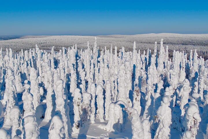 Private guiding services in Lapland with former Finnish Army guides photo 5