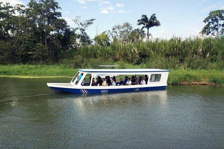Cahuita & Tortuguero Canals Full-Day Tour from Puerto Limón — Rainforest, Canals & Coast photo 2