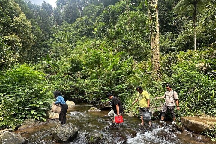 Bogor Botanical Garden & Rainforest Trek to a Hidden 40m Waterfall photo 3