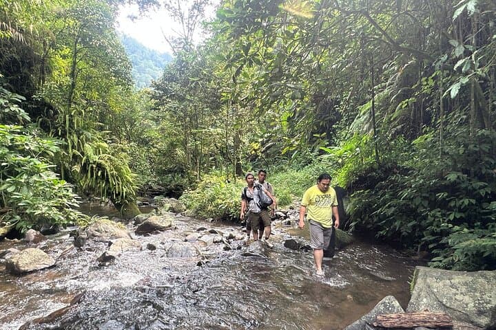 Bogor Botanical Garden & Rainforest Trek to a Hidden 40m Waterfall photo 4