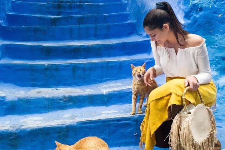 Chefchaouen Day Trip from Tangier: Explore the Blue City with a Local Guide