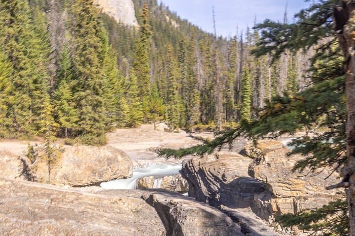 Lake Louise, Moraine & Johnston Canyon: Full-Day Banff National Park Tour photo 5