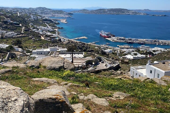 Half-Day Private Mykonos Drive: Beaches, Lighthouse & Ano Mera
