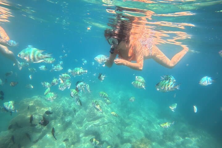 Nha Trang Snorkeling at Hon Mun Marine Park with BBQ: Half-Day Island Trip