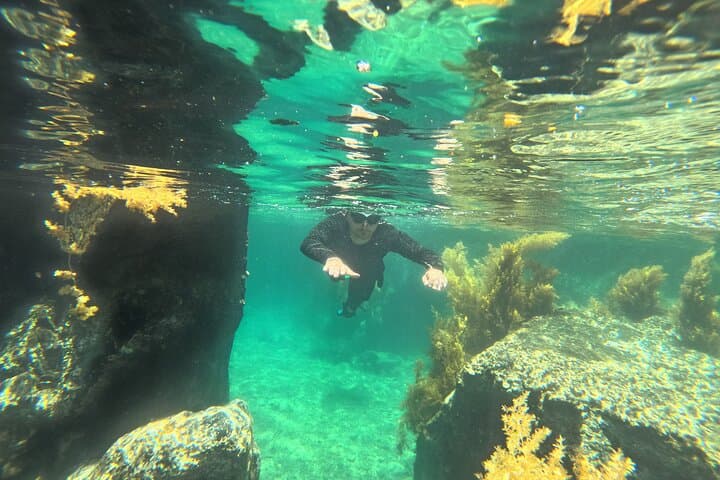 Nha Trang Snorkeling at Hon Mun Marine Park with BBQ: Half-Day Island Trip photo 2