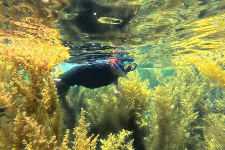 Nha Trang Snorkeling at Hon Mun Marine Park with BBQ: Half-Day Island Trip photo 3