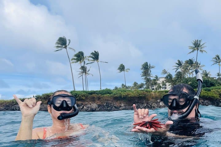 Lahaina Reef Snorkeling Adventure: Olowalu Snorkel Tour in Maui photo 4