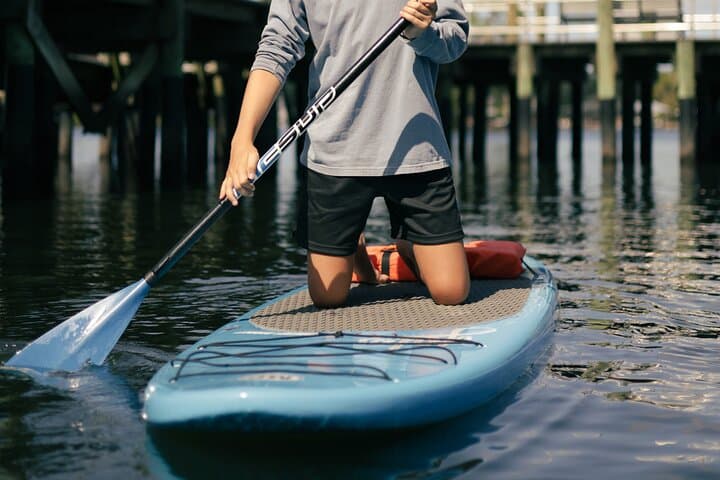 Crystal River 2-Hour Paddle Board Rental — King's Bay Manatee Viewing photo 4