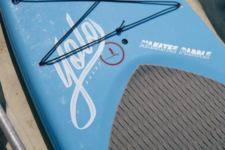 Crystal River Paddle Board Rental — 3-Hour Manatee Viewing on King’s Bay photo 5
