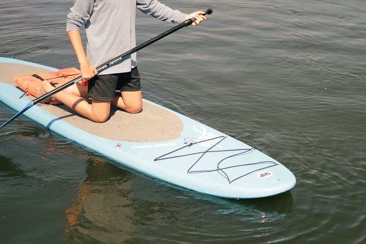 Crystal River 4-Hour Paddle Board Rental — Paddle with Manatees at King's Bay photo 4