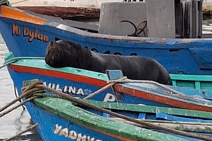 Peru Bolivia Adventure: 14-Day Andes, Machu Picchu & Uyuni Salt Flats photo 6