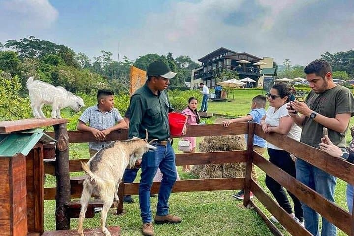 San Cayetano Farm Day Trip: Volcano Views & Coffee Fields from Puerto Quetzal photo 2