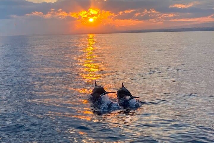 Hilton Head Sunset Dolphin Cruise: Dolphin Watching & Lowcountry Evening Views