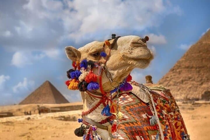 Giza Pyramids, Sphinx & Egyptian Museum: Full-Day Cairo Tour photo 2