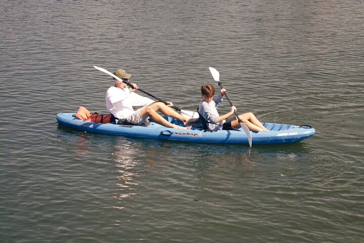 Crystal River Tandem Kayak Rental — 3-Hour Manatee Viewing in King's Bay photo 5