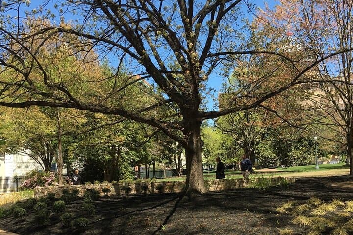Capitol Steps and Stories: Richmond Guided Walking Tour photo 3
