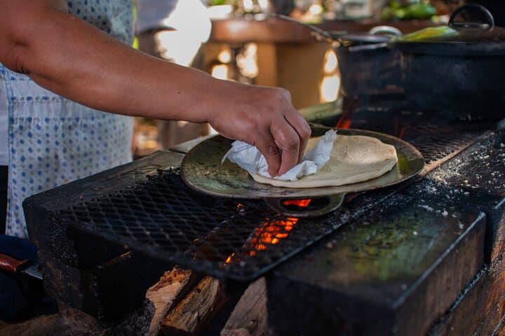 Coffee Trail and Wildlife Experience — Farm-to-Sanctuary Day Tour in Playa Flamingo photo 3