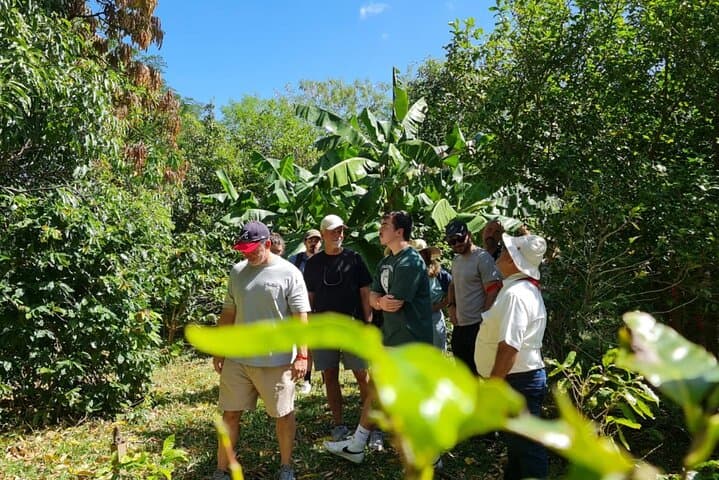 Coffee Trail and Wildlife Experience — Farm-to-Sanctuary Day Tour in Playa Flamingo photo 4