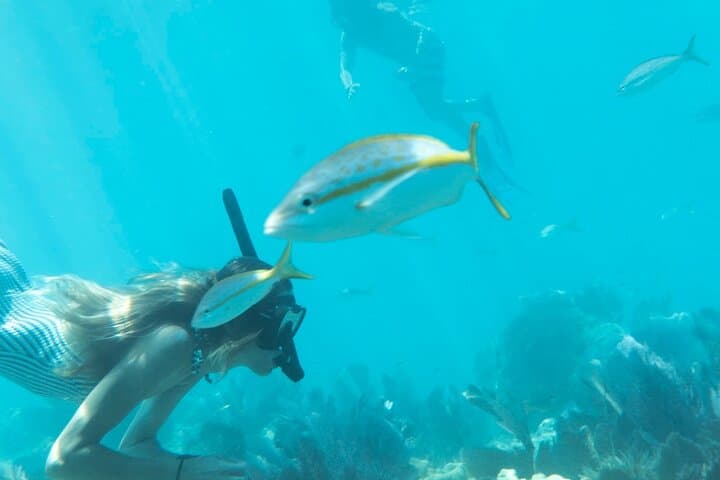 Key West Sunset Sail and Reef Snorkel: A Small-Group Eco Adventure