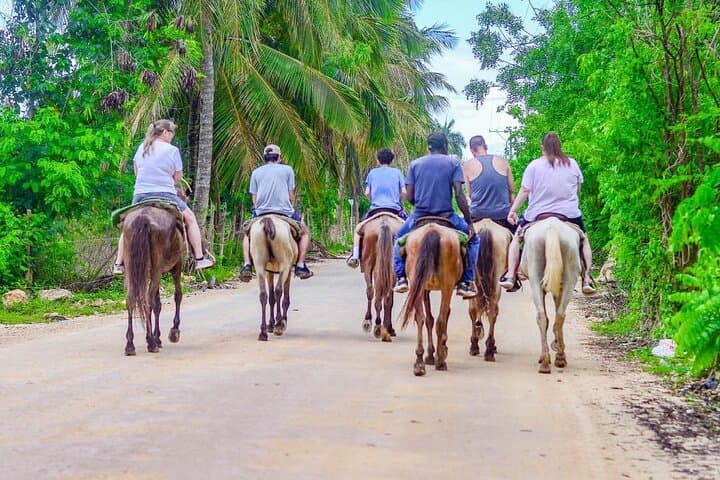 Macao Beach Horseback Ride from Punta Cana: Coastal Ranch to Surf Adventure photo 5
