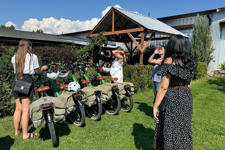 Kelowna E-Bike Bee Tour: Meadow Vista Honey Tasting, Lunch & Audio Hive Guide photo 3